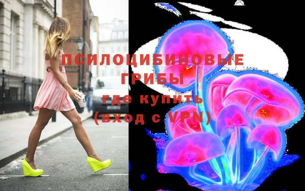 спайс Вяземский