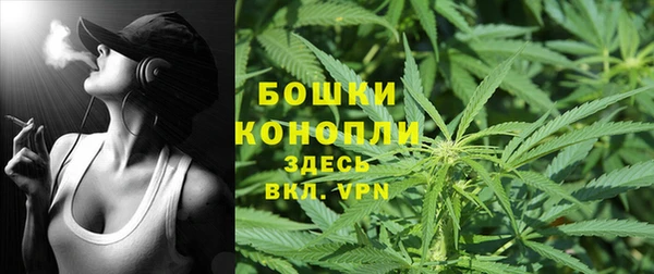 спайс Вяземский