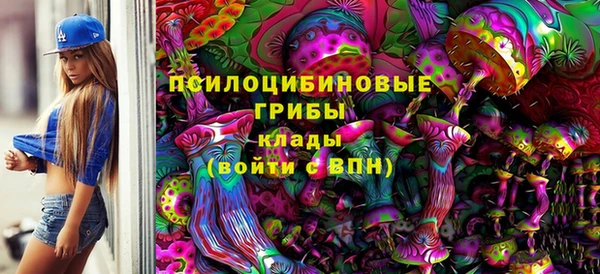 спайс Вяземский