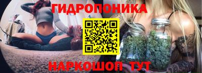 мдма Гай