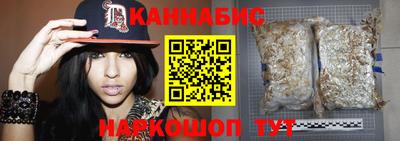 индика Гусь-Хрустальный
