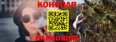 спайс Гагарин