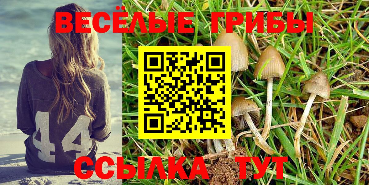 Галлюциногенные грибы MAGIC MUSHROOMS Медногорск